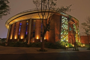 2011花博。夜