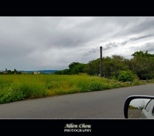 陰雨天的鳳凰花隧道.~Allen~