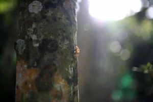 時間在流逝 生命也在蛻變