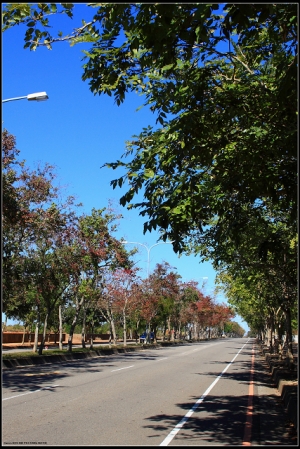 台中靜宜大學.都會公園