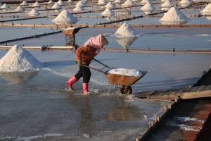 井仔腳瓦盤鹽田