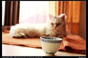 喜歡吃草的小Na