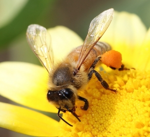 2013上半年回顧1