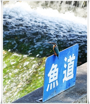 正大學習(四)