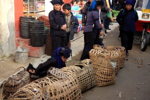 贊仔--雲南什麼族???