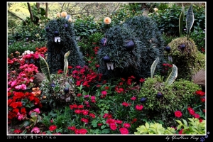 漫步-十八尖山 by 阿喵