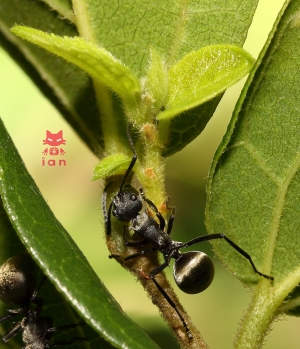 早晨的農田與第一次的夜晚