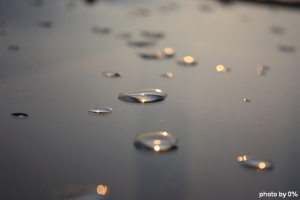 2011-07-27 水滴。日出