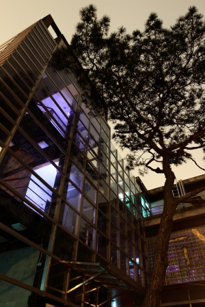 ++ 索羅門 新竹麗池公園~愈夜愈美麗--天鵝城堡正門(16-35)