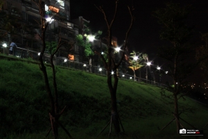 【50D】新店碧潭隨拍!