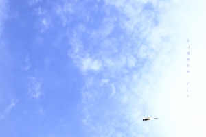 Summer Fly