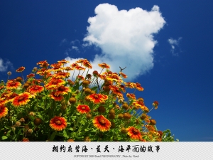 相約在碧海、藍天、海平面的故事~愛上員貝