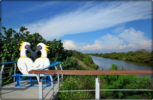 台南七股沿海的美