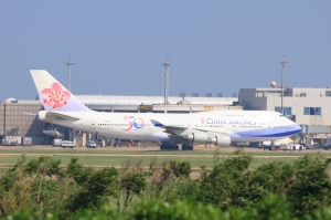 奇跡咖啡打鐵鳥