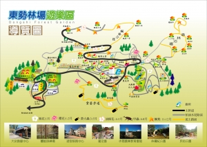 夏日阿凡達之夜