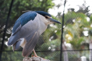 450D動物園隨拍
