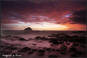 老闆來一份麻婆豆腐配飯