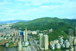101 Sunny Day