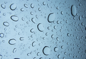 雨中的悠然