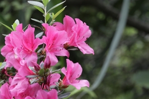 內洞隨拍 by 拿鐵