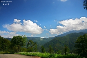 遠離世俗之真的很山上的-山上人家-風景篇