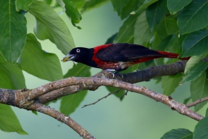 孩子..你們在哪裡.......................