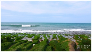 2012 春 老梅石槽