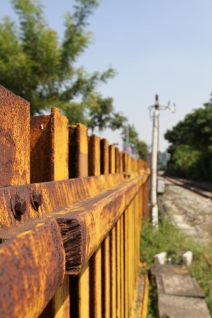 canon攝影馬拉松~高雄場~