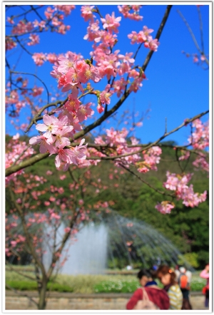 test4