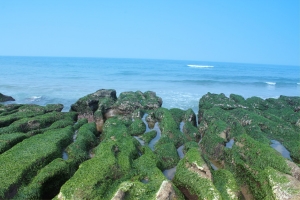 2011-03-20老梅石槽