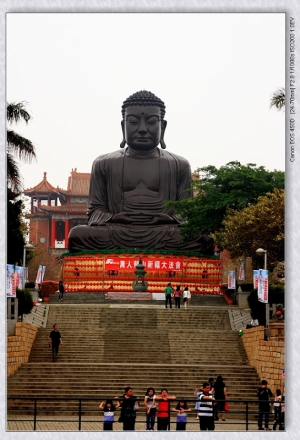 20110430彰化桐花季