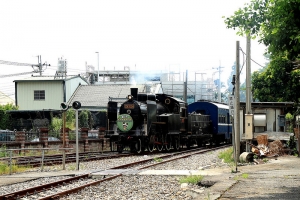 南投火車好多節 CK124號蒸氣機車