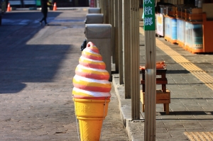 台中Wang~~飛翔篇~是鳥