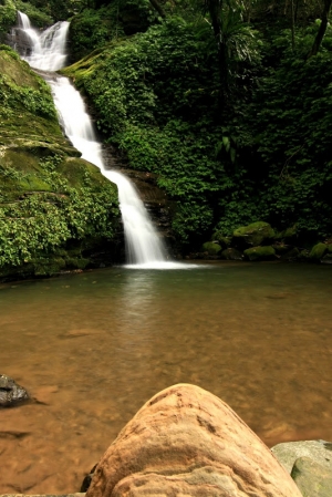 汐止茄苳瀑布(二)