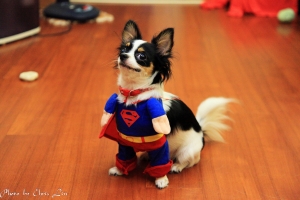 小妙_超人裝 (讓大家笑一下)