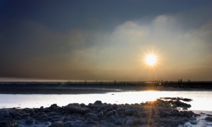 ☆再接再勵之 ~ 西港搖黑卡☆