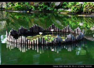 三天前敗入新鏡135MM F/2 L, 試拍幾張分享