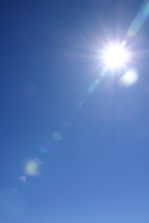 清境櫻花&合歡山