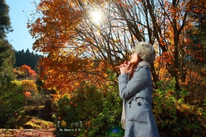 ++冬之戀++ 舊作