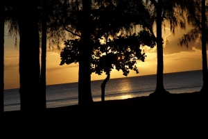 摩里西斯 夕陽一瞥