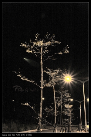 新竹茄東交流道...夜拍