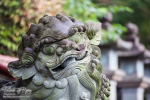 那一天我去拱北殿