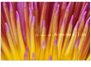 R O Y Macro 2 0 1 │ Anywhere , I do