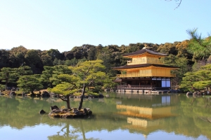 日本京阪賞櫻之旅~金閣寺