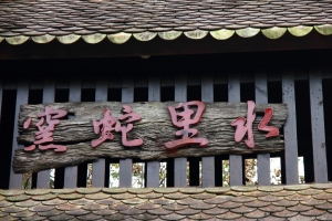 天陰陰之中部出遊