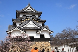 燒燙燙的關西賞櫻