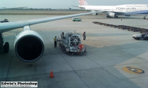 ≡機場生活週週報≡No.2