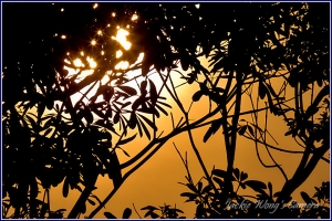 2012 杰克的隨拍 (8) 對CF好友們的無限感恩