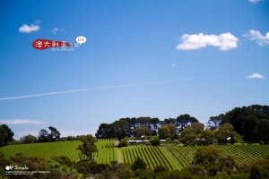 塔斯马尼亚 & 墨尔本