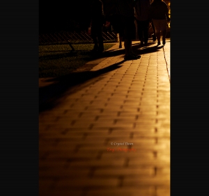 夜晚的街景隨拍＠台南